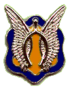 Unit Crest